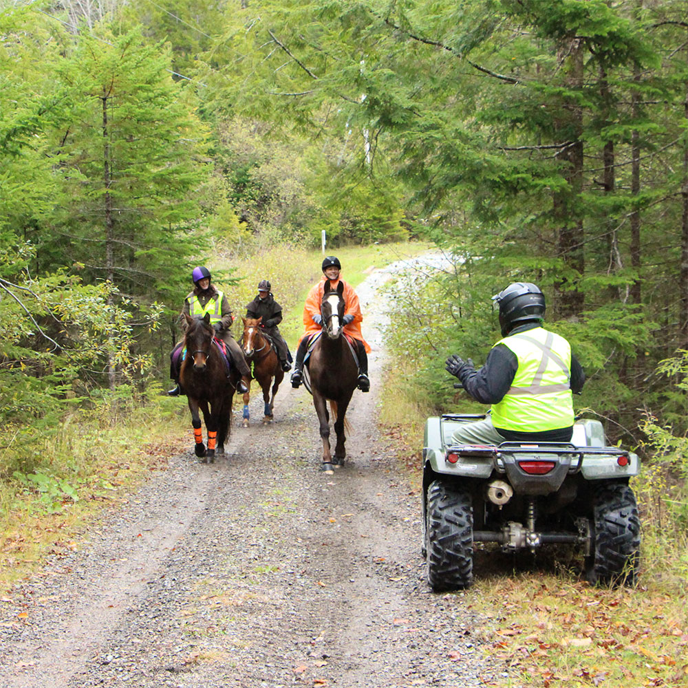 ATV rider stopped on the side of a trail letting 3 horseback riders passs